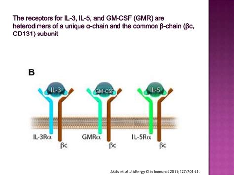 Interleukins And Interferon Gamma