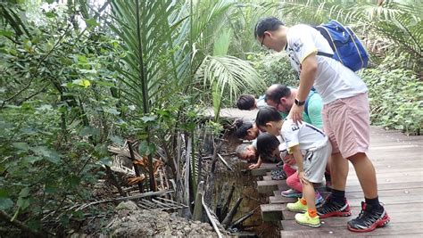 Adventures With The Naked Hermit Crabs Feb Sat Free Guided Walk