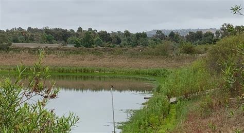 San Joaquin Marsh & Wildlife Sanctuary – Go Park Play