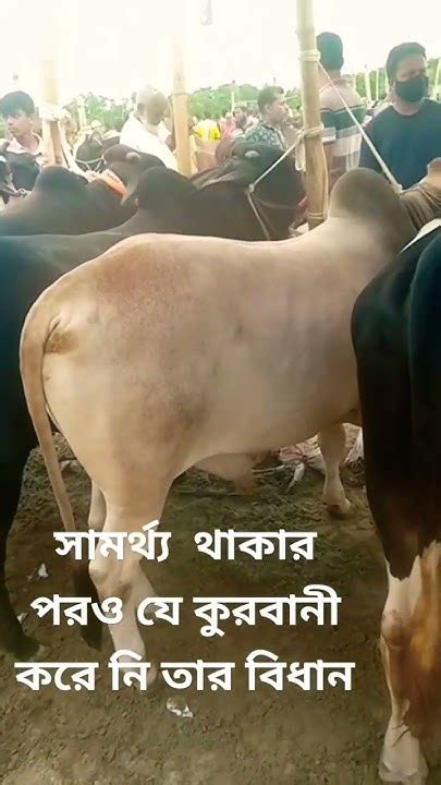 কত টাকা থাকলে কুরবানী দিতে হবেকুরবানীর গরু Kurbanir Gharo Eid 😲 Youtube