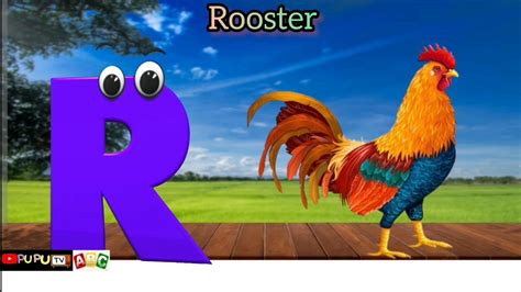 Birds Alphabet Song Abc Alphabet Kids Songs Learn Abc Alphabet