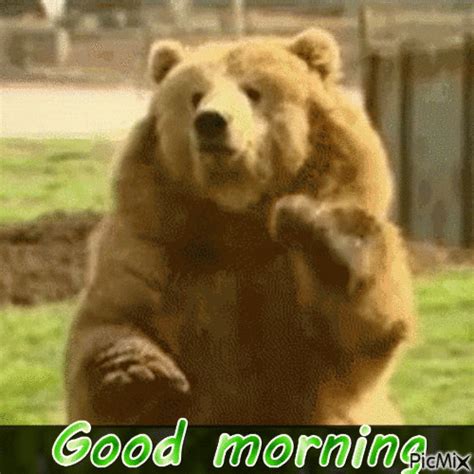 Bear Waving Pictures Photos And Images For Facebook Tumblr