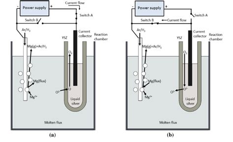 Proposed Schematics Of The Setup For Removing The Soluble Magnesium In