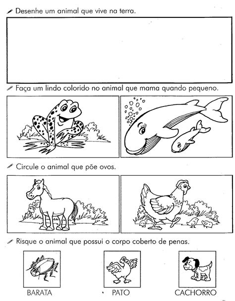 Atividades De Ci Ncias Ano Animais I Atividades E Desenhos