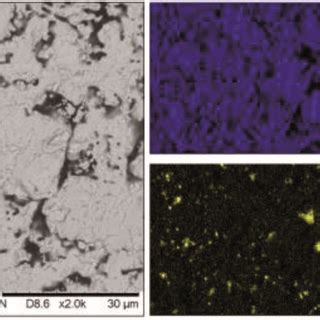 Bse Sem Image At Magnification Scale Bar Length M And Edx