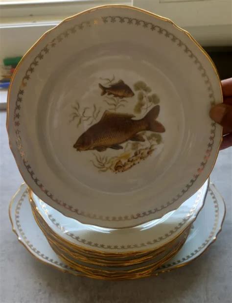 Assiettes Plat Service A Poisson En Porcelaine De Limoges Eur