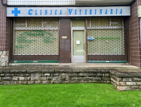 Clínica Veterinaria Pumarín Gijón Horsepital