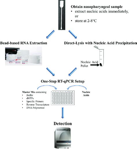 Scheme of strategies for RNA isolation. Modified pictures of innuPREP... | Download Scientific ...