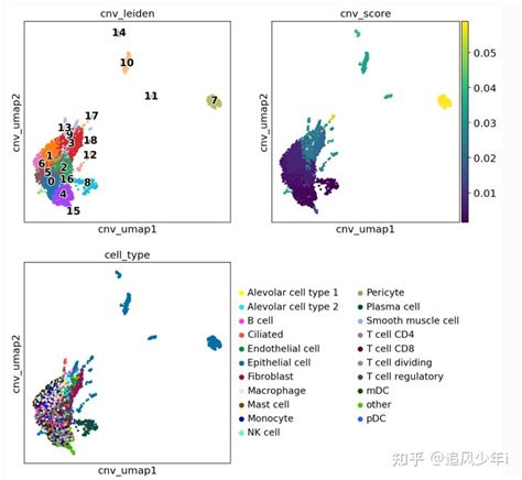 10x单细胞（10x空间转录组）cnv分析之infercnvpy 知乎