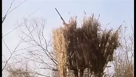 Free Vintage French Porn Videos Xhamster