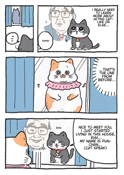 Read The Old Man Who Was Reincarnated As A Cat 35 Onimanga