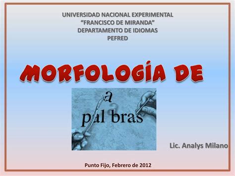 Morfologia De Las Palabras PPT Descarga Gratuita