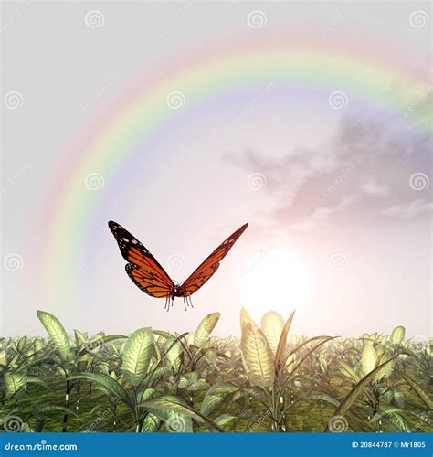 Butterfly And Rainbow Royalty Free Stock Photography - Image: 20844787