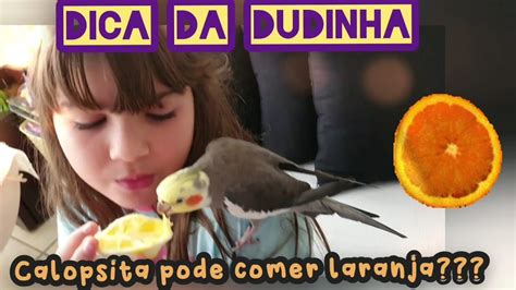 Dica Da Dudinha Calopsita Pode Comer Laranja YouTube