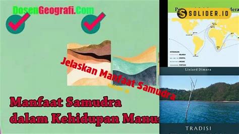 Temukan 8 Manfaat Laut Yang Perlu Anda Ketahui Solider