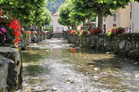 Concours des villes et villages fleuris l édition 2020 annulée un