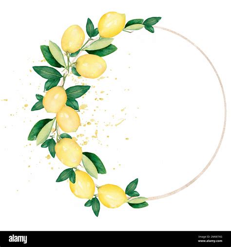 Hand Drawn Round Frame Of Watercolor Lemon Watercolor Illustration