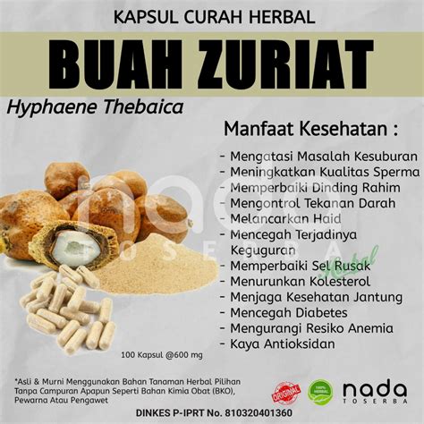 Jual Buah Zuriat Kapsul Obat Herbal Curah Menjaga Kesehatan Kulit