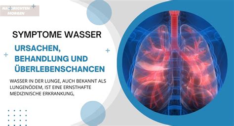 Symptome Wasser in Der Lunge Ursachen Behandlung Und Überlebenschancen