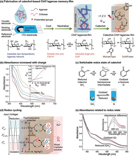 Fabrication And Characterization Of Catechol‐chit⁰agarose Memory‐film Download Scientific