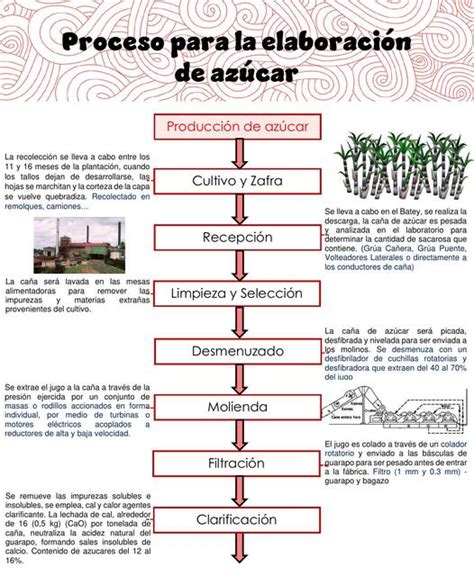 Proceso Para La Elaboración De Azúcar Elizann Udocz