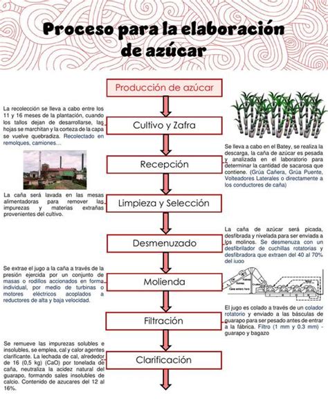 Resúmenes de azúcar de caña Descarga apuntes de azúcar de caña