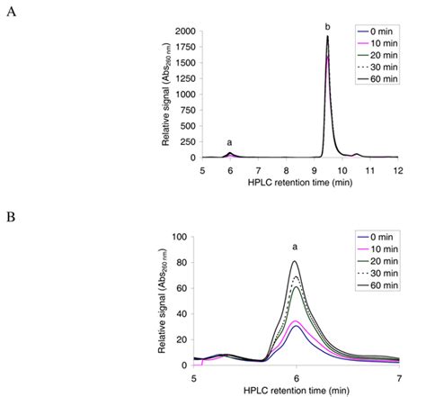 Reverse Phase HPLC Absorbance Profile Of The Separation Of CoA And