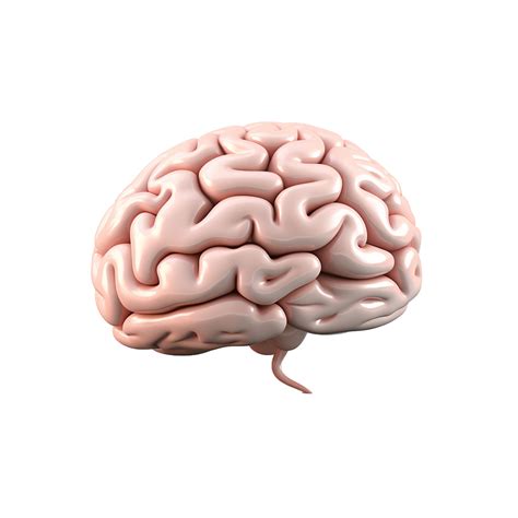 Ai Generated Brain Png Isolated On Transparent Background 35876373 Png