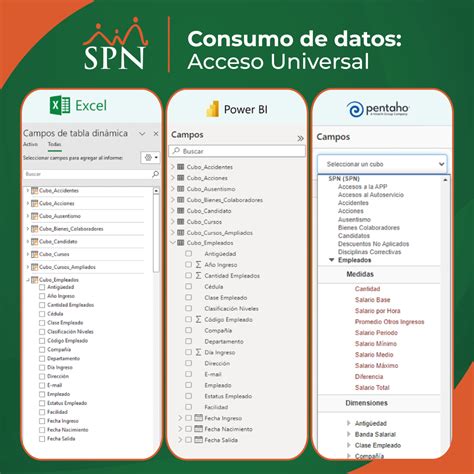 Spn Modelos De Datos Universal Para Bi Spn