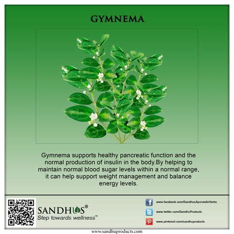 19 Benefits Of Gymnema Ideas Gymnema Sylvestre Herbalism Herbs