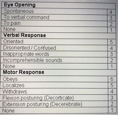 Emt Exam Chapters Flashcards Quizlet