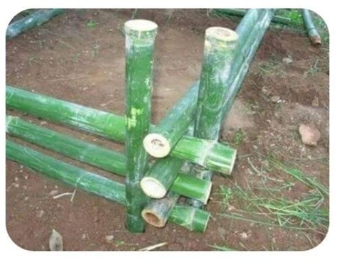 Pin By Tonya King On Diy Projects In Bamboo Garden Fences Diy