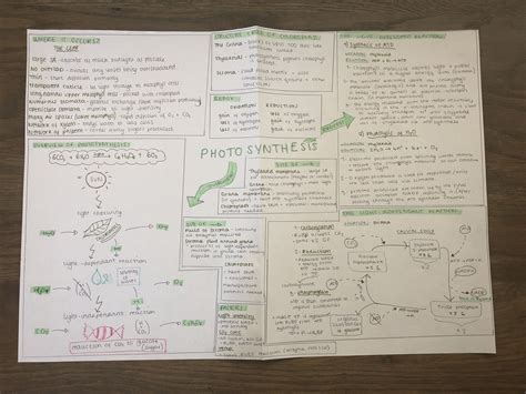 A Level Biology Energy Transfers Revision Aqa Artofit