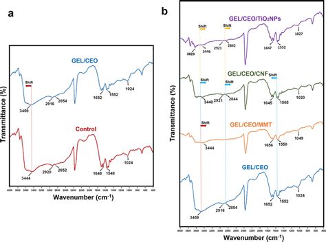 Fourier Transform Infrared Ft Ir Spectra Of Control Neat Gelatin