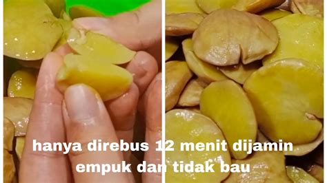 Cara Merebus Jengkol Agar Tidak Bau Lembut Dan Hemat Gas Tips