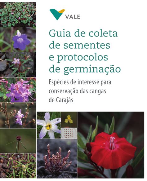 Pdf Guia De Coleta De Sementes E Protocolos De Germina O Esp Cies