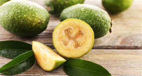 Feijoa Tout Savoir Sur Le Feijoa Et Ses Atouts Sant