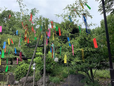 Tanabata Festival The Spirit Of Japan Tours