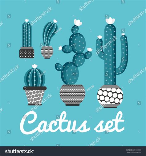 Cactus Set Vector Collection Cactus Stock Vector Royalty Free