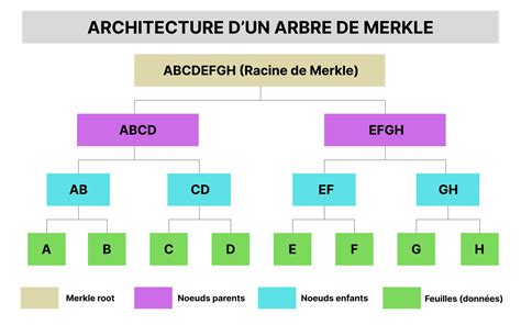 Quest Ce Quun Arbre De Merkle En Cryptographie Et Comment Fonctionne