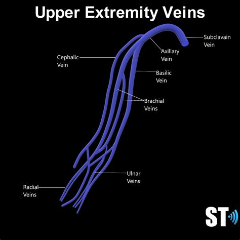 Doppler Arterial Extremity Study