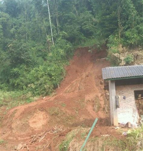 云南南部强降雨引发泥石流灾害 致2人死亡图 闽南网