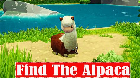 Everdream Valley Find The Alpaca Youtube