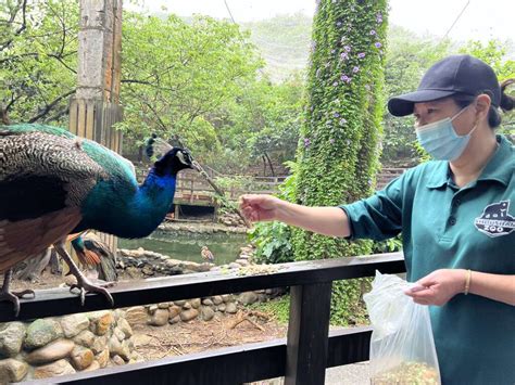 壽山動物園「動物媽咪」母親節快樂 訪談保育員細數與動物相處時光 高雄旅遊網