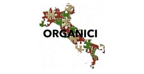 Organici 2018 19 Cattedre Scuola Secondaria Anche Superiori A 18 Ore