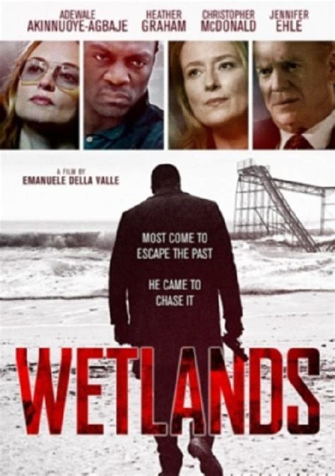 Wetlands 2017