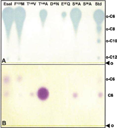 C 18 Thin Layer Chromatography Tlc Bioassays Indicate Download Scientific Diagram