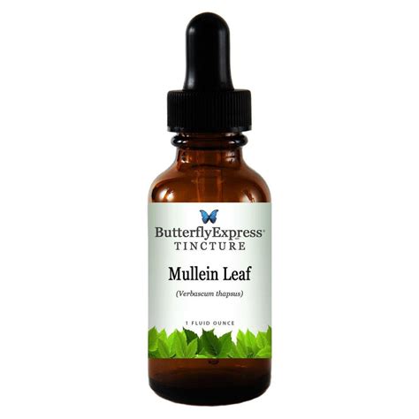 Mullein Leaf Tincture