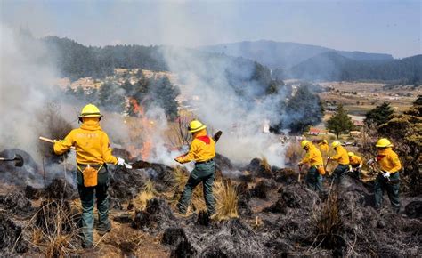 Incendios Forestales Da An La Flora Y La Fauna De Ac Mbaro Colormag