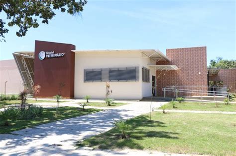 Ceulp Ulbra Inaugura Primeiro Hospital Veterin Rio Do Tocantins